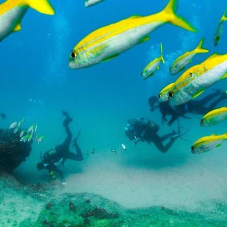 Devocean Eco Adventure Lodge 蓬塔杜欧鲁 外观 照片