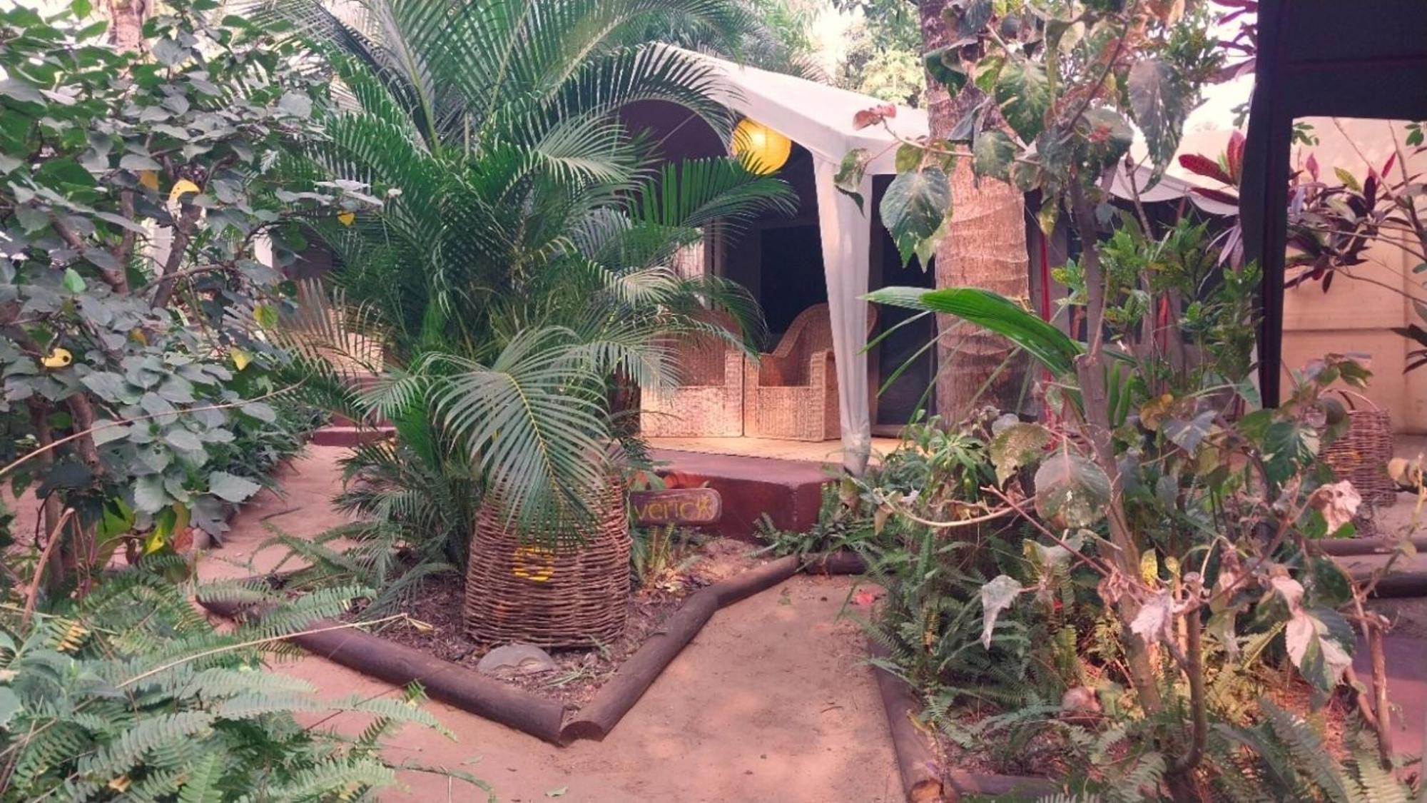 Devocean Eco Adventure Lodge 蓬塔杜欧鲁 外观 照片