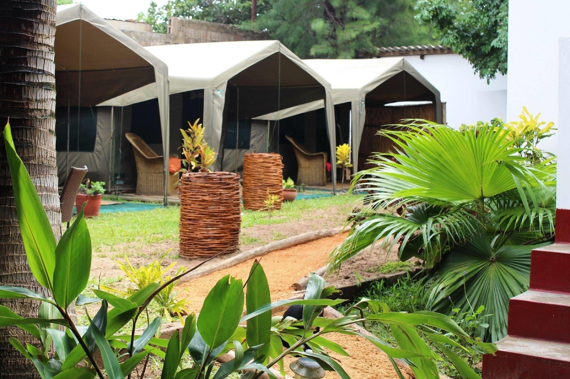 Devocean Eco Adventure Lodge 蓬塔杜欧鲁 外观 照片