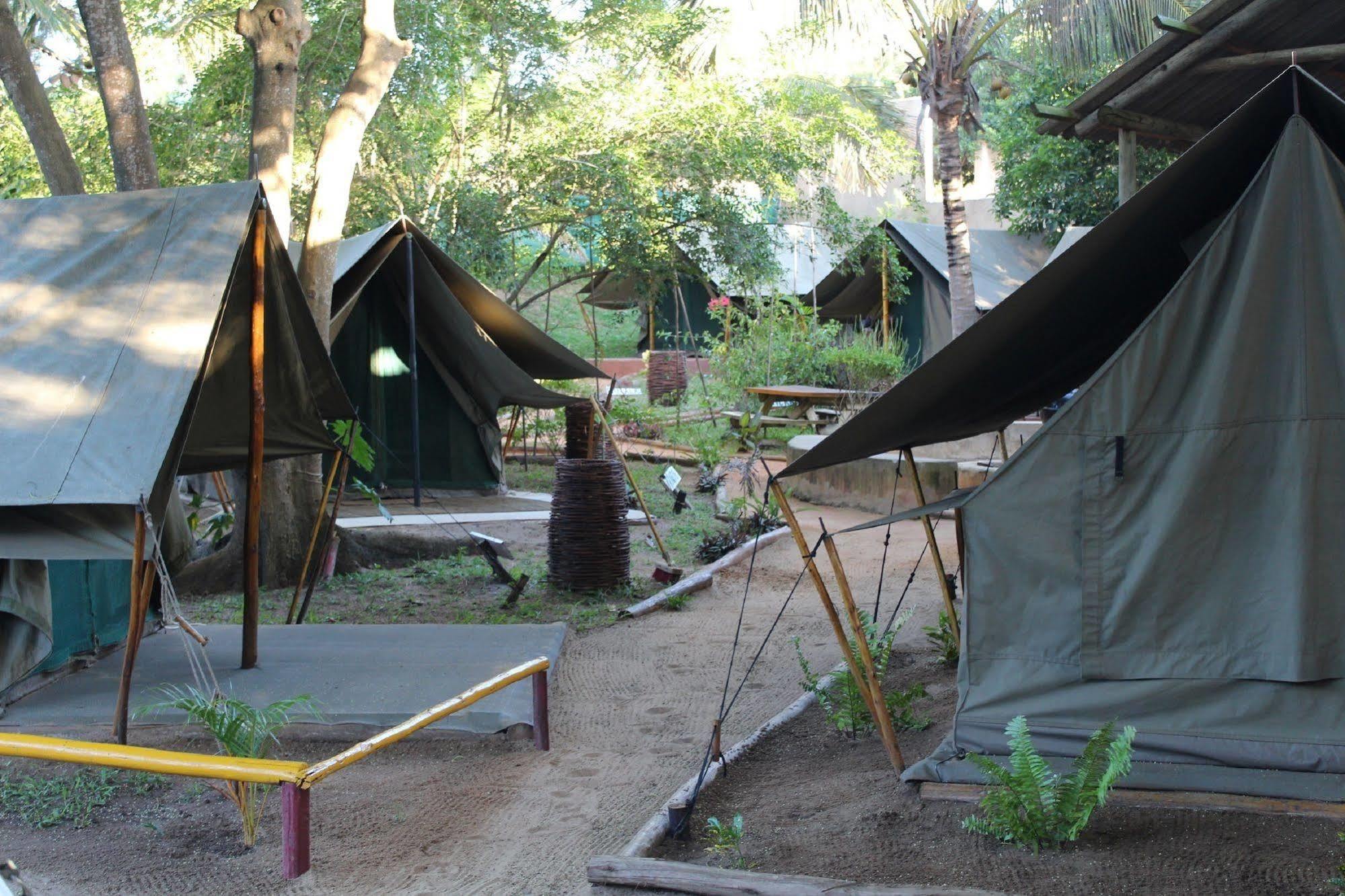 Devocean Eco Adventure Lodge 蓬塔杜欧鲁 外观 照片