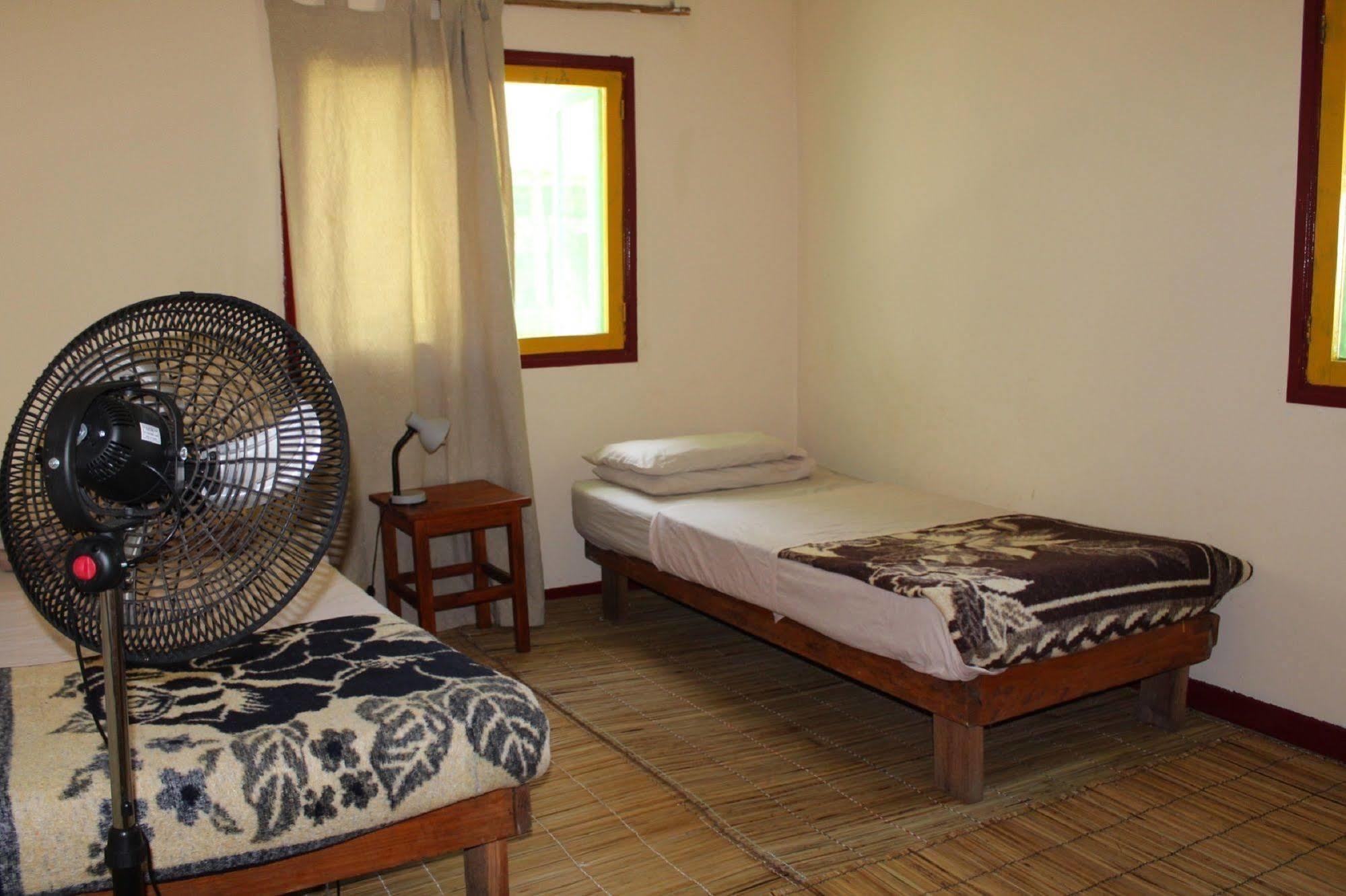 Devocean Eco Adventure Lodge 蓬塔杜欧鲁 外观 照片